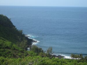 Sud Réunion en 2009