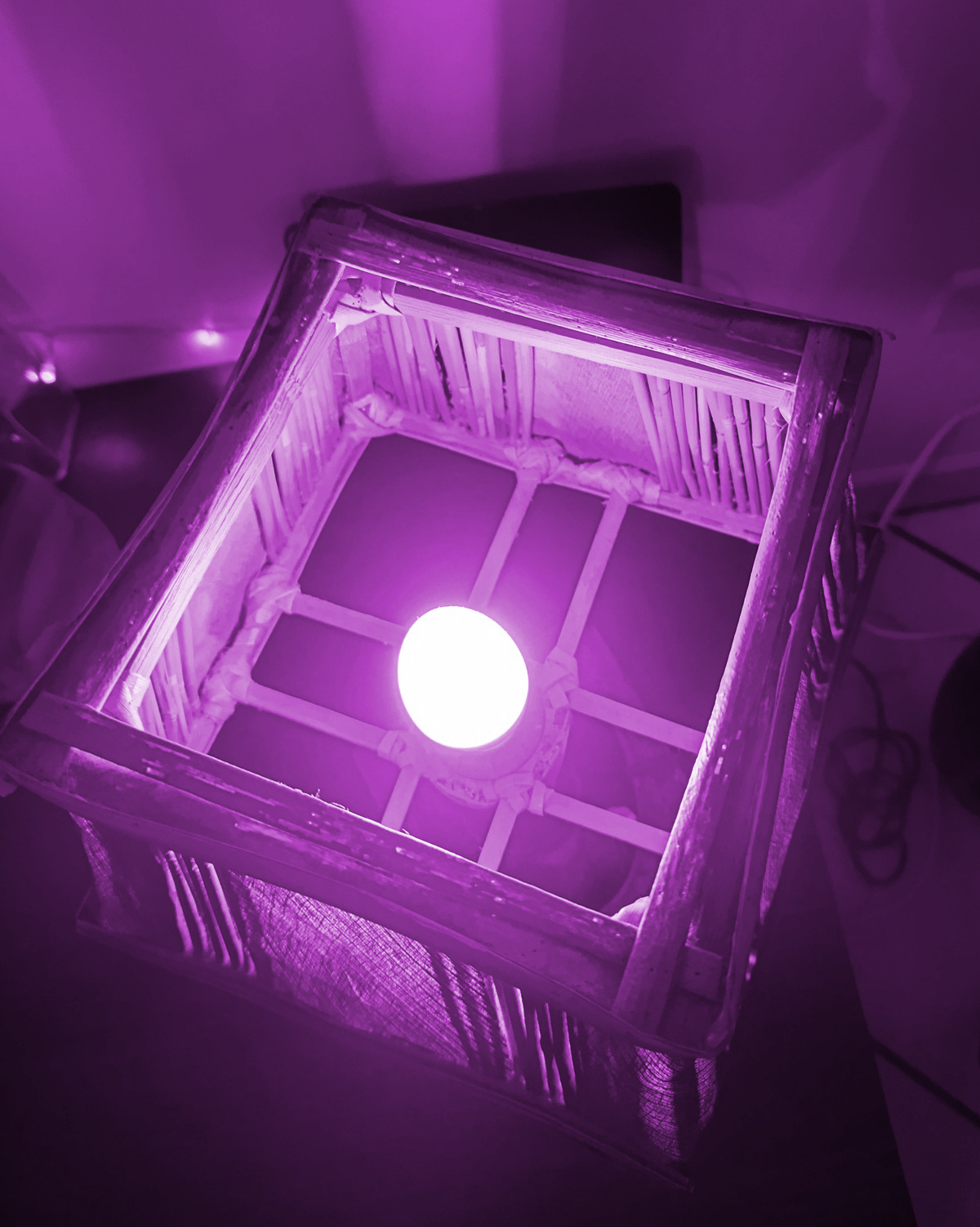 Lampe Bamboucoco Vincent et Gwénaëlle